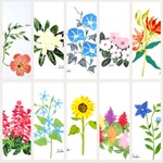 10枚セット夏の花ポストカード