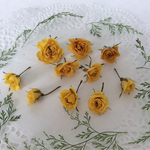 送料込み ミニ薔薇のドライフラワー(イエロー)