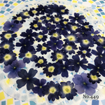 ♡new♡作家様必見♡ 人気のバーベナがいっぱい♡ 押し花セット