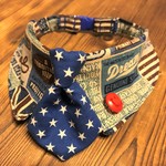 犬・猫首輪33～36　cocoちゃんネクタイチョーカーNEO　アメリカン・星・ビンテージ