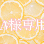 N様専用*ﾟ