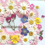 押し花素材59　ミニバラ　マーガレット　ネモフィラ　バーベナ