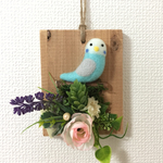 横向きセキセイちゃん♪