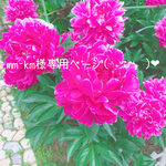 mm-km様専用ページ(*ˊᵕˋ*)