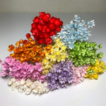 スターフラワー ミニ100本花材 ドライフラワー 