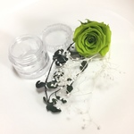 プリザーブド花材☆薔薇のグリーン系セット☆ハーバリウム等に