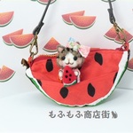 夏はやっぱりスイカポーチ★浴衣姿の猫ちゃん