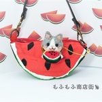 夏はやっぱりスイカポーチ★麦わら帽子の猫ちゃん