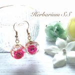 ハーバリウムピアス No.19