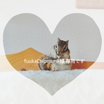 再販リクエスト☆fuukaChipmunk様専用☆