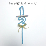 9ehs4様専用ページ