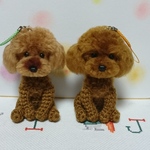 ご注文品  あみぐるみ☆トイプードルちゃん　
