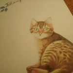 ベンガル猫  3枚【ハガキ】
