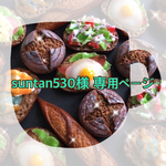 suntan530様専用ページです