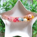pontamamam様専用☆本物のお花のバナナクリップ