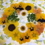 ♡new♡ ♡お手頃価格♡  ♡押し花セット♡