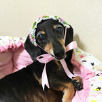 🎀🌹🎀ミニ薔薇チョーカー