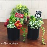 黒板ポット(黒)❁﻿多肉植物＆フェイクグリーン 寄せ植え風アレンジ