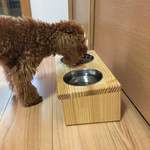 ペットの食器台 ボウル付き（小型犬・猫）