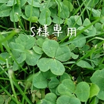 S様専用 購入ページ