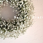 【再販】pure white ＊たっぷりカスミソウのリース＊直径約25cm