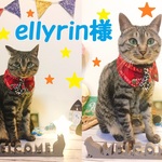 ellyrin様オーダー専用　約28～32対応　cocoちゃんネクタイチョーカーNEO　レオパード・ロック調