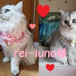 rei-luna様オーダー専用　28cm対応　cocoちゃんリボンチョーカー2点セット