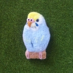 ♥️羊毛フェルト  インコさんブローチ♥️