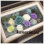 WH welcome PK&WH AG PL&PK17cm