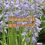 hakuhakumaさま 専用ページ