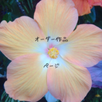 457525gjpjaj様オーダー作品