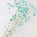 ＊ドライフラワー＊大 かすみ草 ミント 花材 ハーバリウムにおすすめ