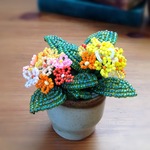 ③黄色とオレンジのランタナ鉢植え　
