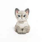 コルクのシャムトラ子猫