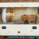 ハリネズミなどの小動物ケージ　セミワイド（小動物、爬虫類ゲージ）