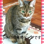 yo-43様専用ページです♥