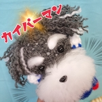 ~kaisermama様ご予約用~シュナパーマン61号
