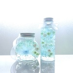 水色のデンファレのハーバリウム2本セット