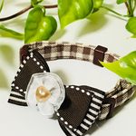 チョコレートカラー♡カカオ多め