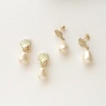 shell drop