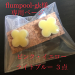 専用ページ