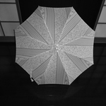 夏着物（白地に黒）の日傘。傘袋付き