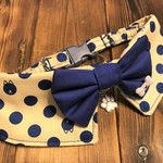 犬の首輪　36～40　中型犬・豆柴　cocoちゃんリボンチョーカー　ドット柴・ボーン・蝶ネクタイ・バンダナ