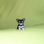 チワワ ブラックタン&ホワイト パピー 羊毛フェルト