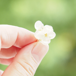 紫陽花のリング♡