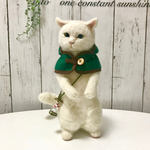 ネコずきんちゃん★グリーンver.森の妖精になっちゃった🌳