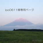 受注制作【ipo0611様専用】