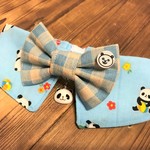 犬・猫　約31～34　cocoちゃんリボンチョーカーNEO　ライトブルー・パンダ・チェック