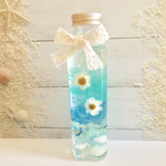 ✨海色ハート✨