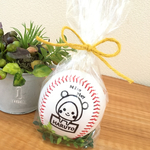 くまさんのサインボール、野球部卒部記念、野球部応援